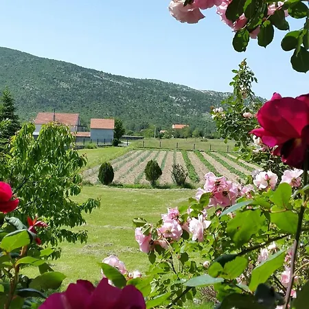 My Dalmatia - Sport And With Private Heated Pool And Tennis Court בית נופש *
