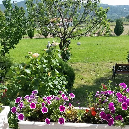 בית נופש My Dalmatia - Sport And With Private Heated Pool And Tennis Court Neoric