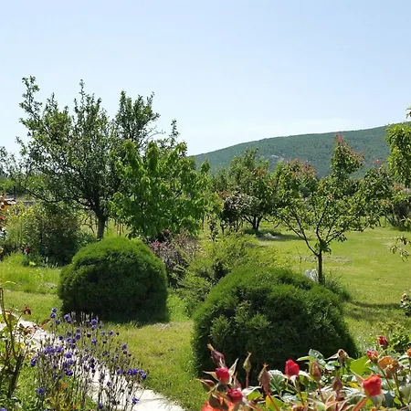 My Dalmatia - Sport And With Private Heated Pool And Tennis Court Prázdninový dům