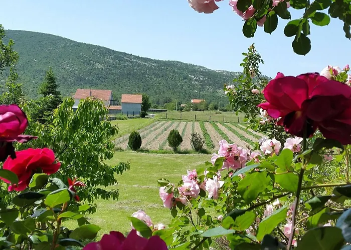My Dalmatia - Sport And With Private Heated Pool And Tennis Court Prázdninový dům *