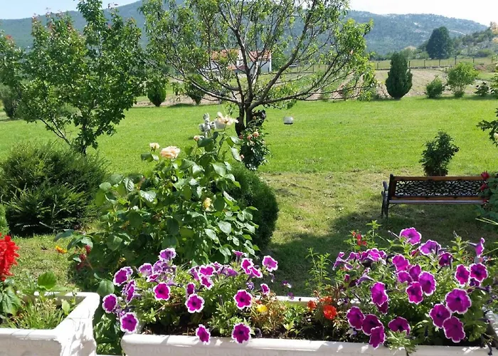 Prázdninový dům My Dalmatia - Sport And With Private Heated Pool And Tennis Court Neoric