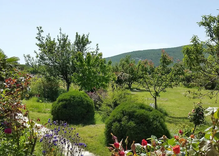 My Dalmatia - Sport And With Private Heated Pool And Tennis Court Prázdninový dům